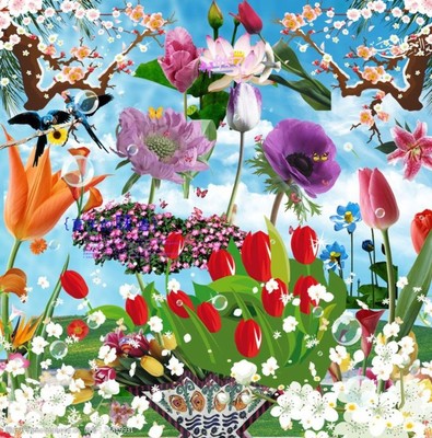 高清鮮花花朵花卉圖片素材 自然之美的視覺盛宴